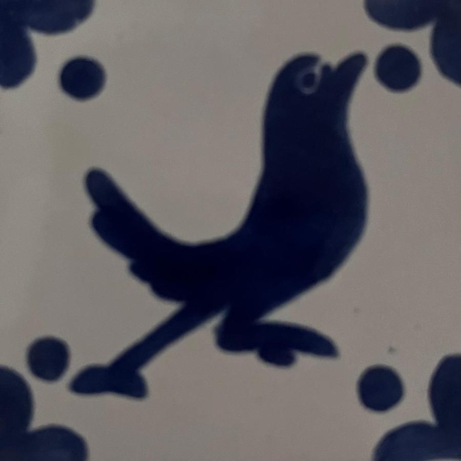 Apartment Pajaro